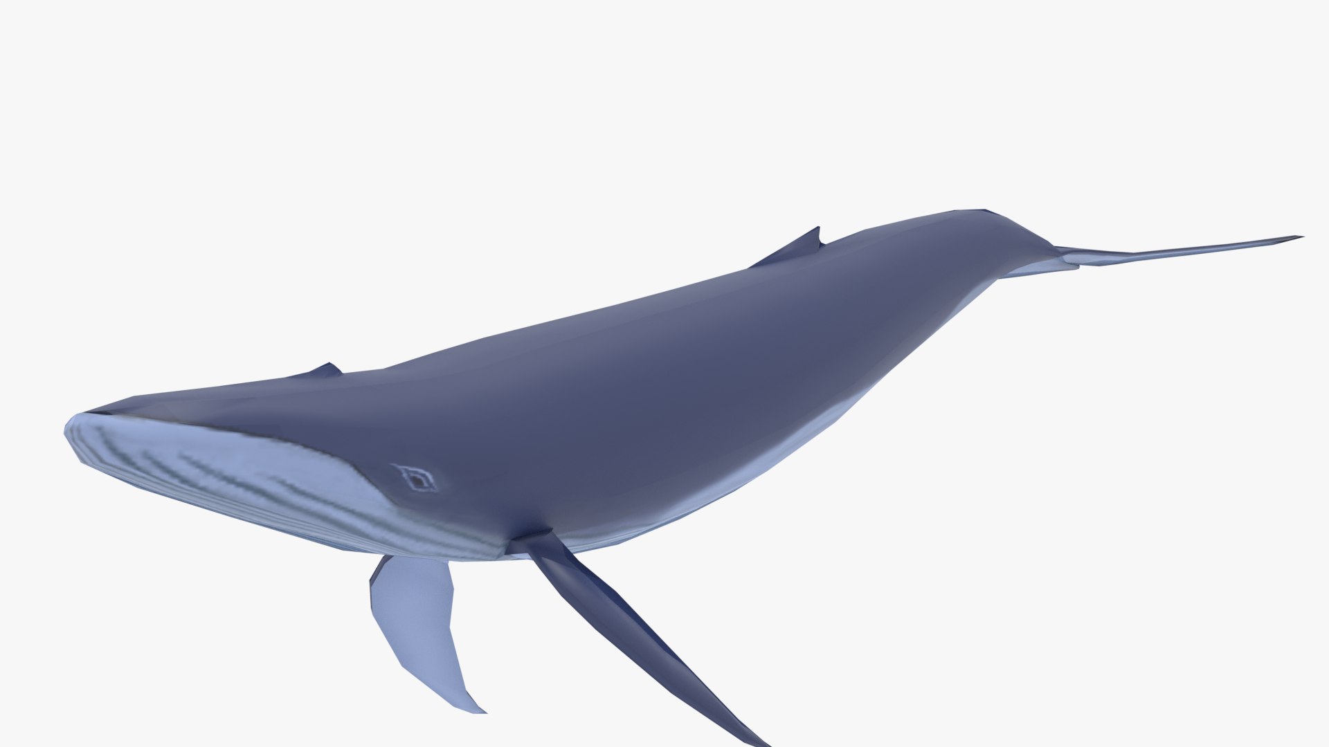 3D model blue whale - TurboSquid 2095218