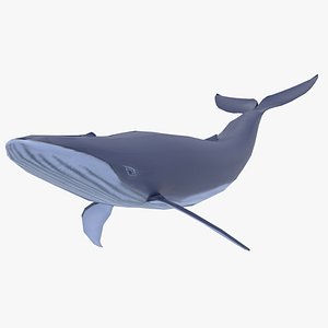 blue whale