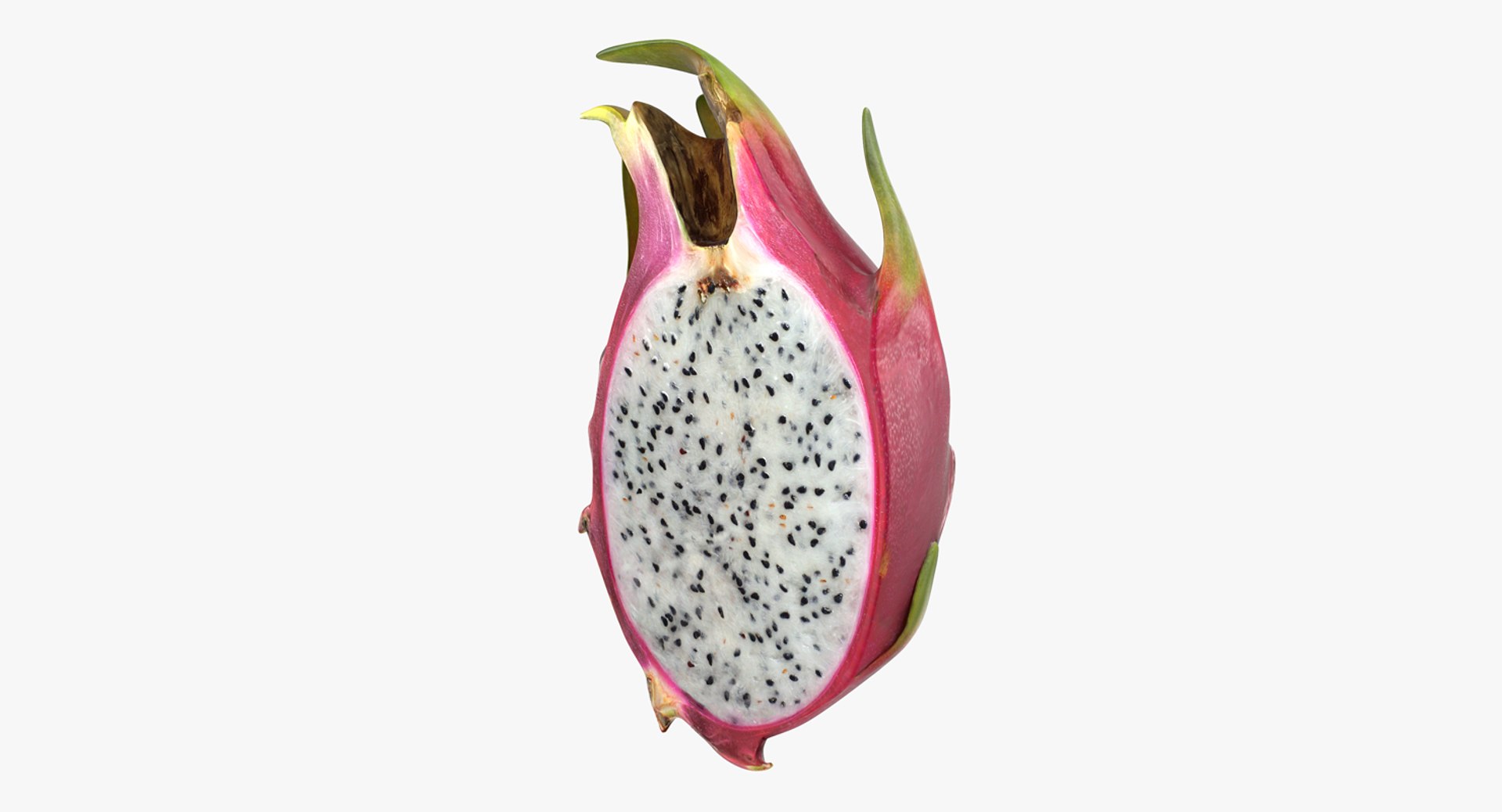 Half Red Dragon Fruit 3D Model 3D model preview