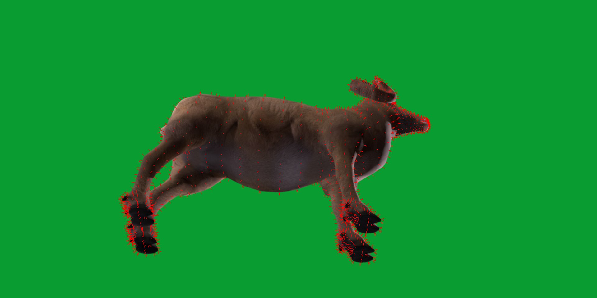 Desert Bighorn Sheep Male model https://p.turbosquid.com/ts-thumb/jv/4T8PxO/fS/desert_bighorn_sheep20/png/1746820143/1920x1080/fit_q87/4ca285228fa98c8ba40d8ba13ac178df6fbe42ca/desert_bighorn_sheep20.jpg