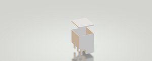 Ecoflow Blade Storage box