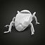 3D Weevil beetle model