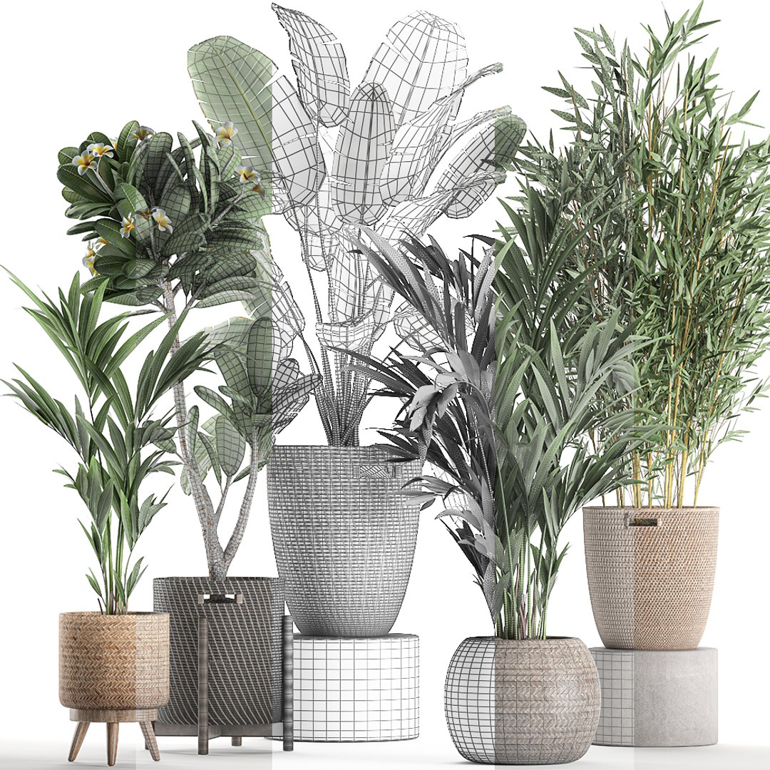 Plants Interior Baskets 3D Model - TurboSquid 1589751