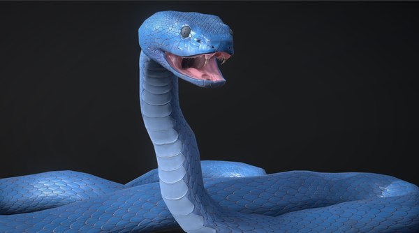 Snake - Blue Viper with animations 3D - TurboSquid 1821417