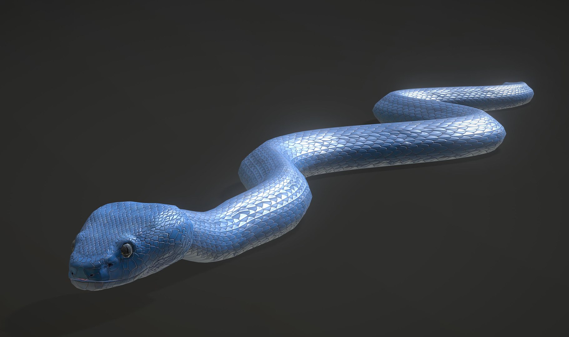 Snake - Blue Viper with animations 3D - TurboSquid 1821417