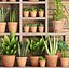 plants clay pots 3D model