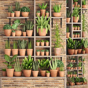 plants clay pots 3D model