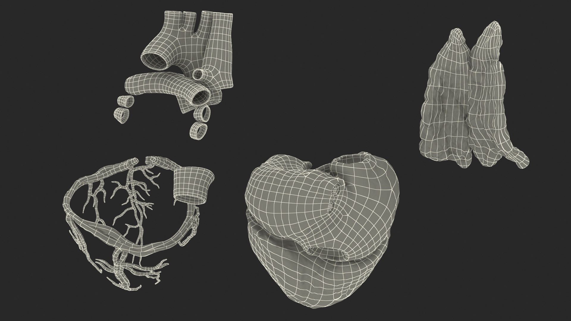 Trinkhalm in Herzform 3D-Modell - TurboSquid 1799379