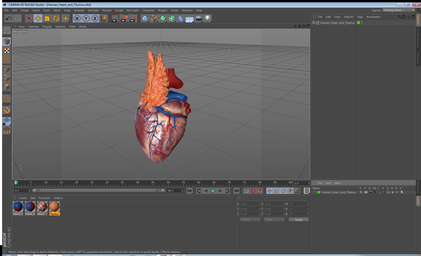 Trinkhalm in Herzform 3D-Modell - TurboSquid 1799379