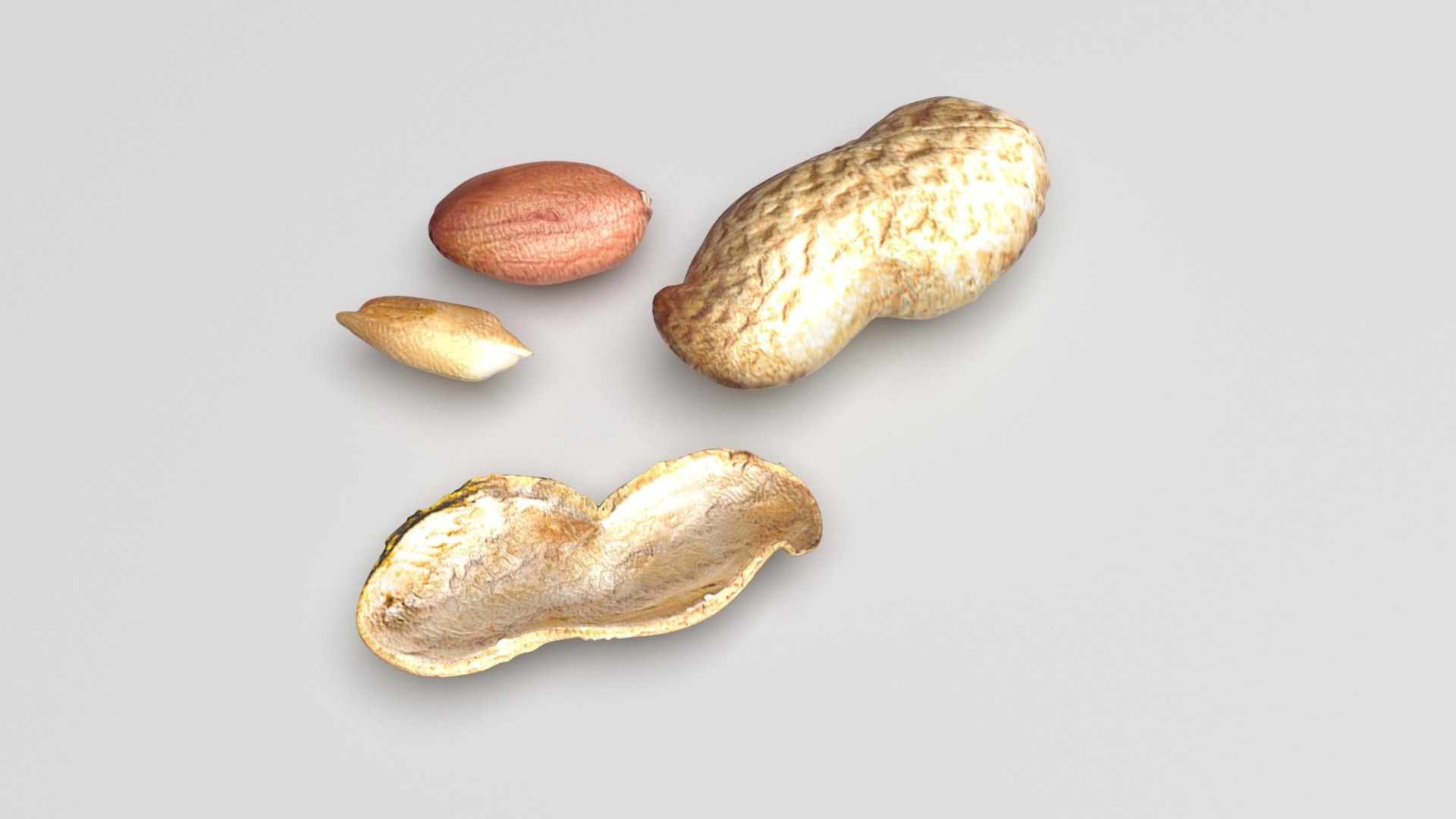 Peanuts 3D model https://p.turbosquid.com/ts-thumb/jw/1QiLWJ/2n/peanutssetnew3/jpg/1716381755/1920x1080/fit_q87/04caf3785c3d45cb7ca544752fb187644b30cfe1/peanutssetnew3.jpg