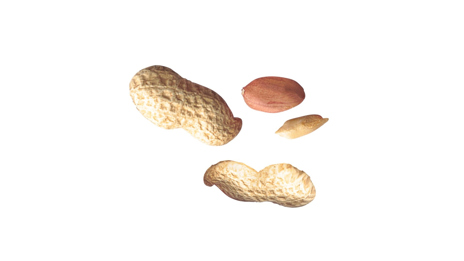 Peanuts 3D model https://p.turbosquid.com/ts-thumb/jw/1QiLWJ/3O/peanutssetnew16/jpg/1716381749/1920x1080/fit_q87/12848b42497947c74cd238811c1c96933645e508/peanutssetnew16.jpg