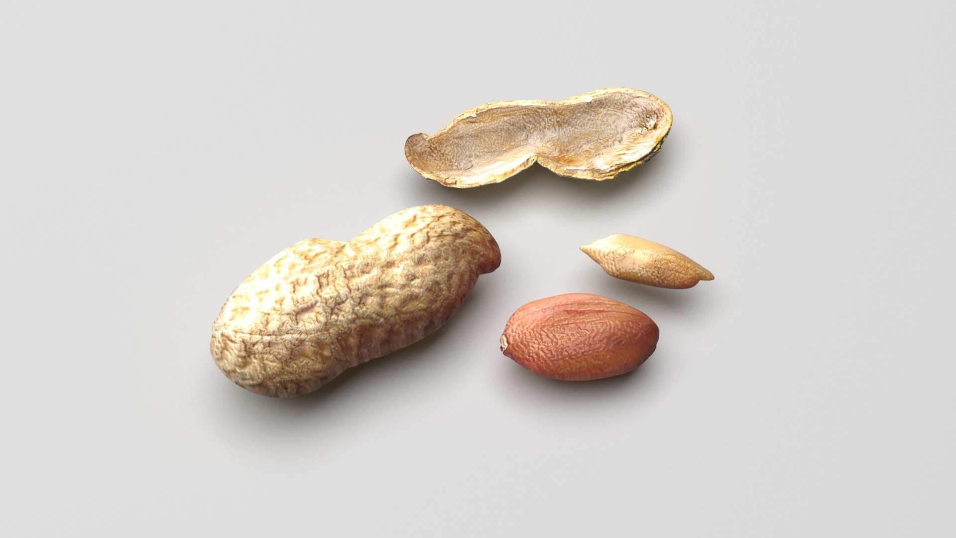 Peanuts 3D model https://p.turbosquid.com/ts-thumb/jw/1QiLWJ/B1/peanutssetnew5/jpg/1716381754/1920x1080/fit_q87/feecb8f868301dbebe4d6e11ee581521416850ae/peanutssetnew5.jpg