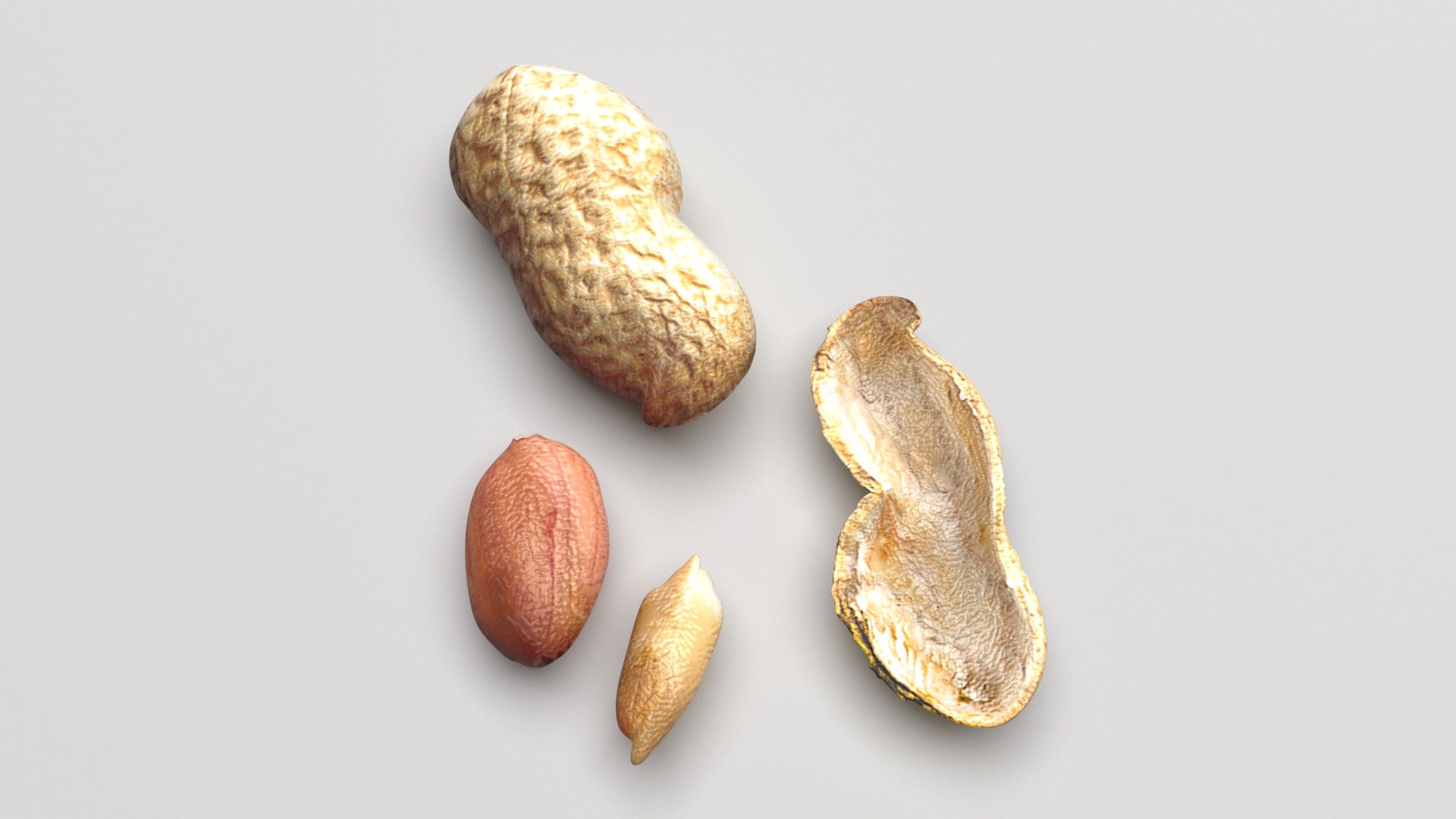 Peanuts 3D model https://p.turbosquid.com/ts-thumb/jw/1QiLWJ/B6/peanutssetnew2/jpg/1716381756/1920x1080/fit_q87/e7d6fbb366aee4df9ca84f8d0b4d5cc9a987b8fb/peanutssetnew2.jpg