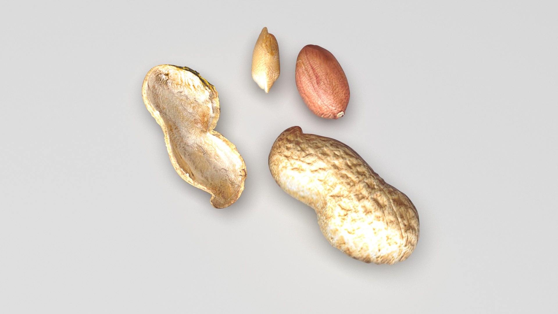 Peanuts 3D model https://p.turbosquid.com/ts-thumb/jw/1QiLWJ/Ch/peanutssetnew4/jpg/1716381755/1920x1080/fit_q87/63973606a7f71d3728f7b94f4a02d449912c6fd7/peanutssetnew4.jpg