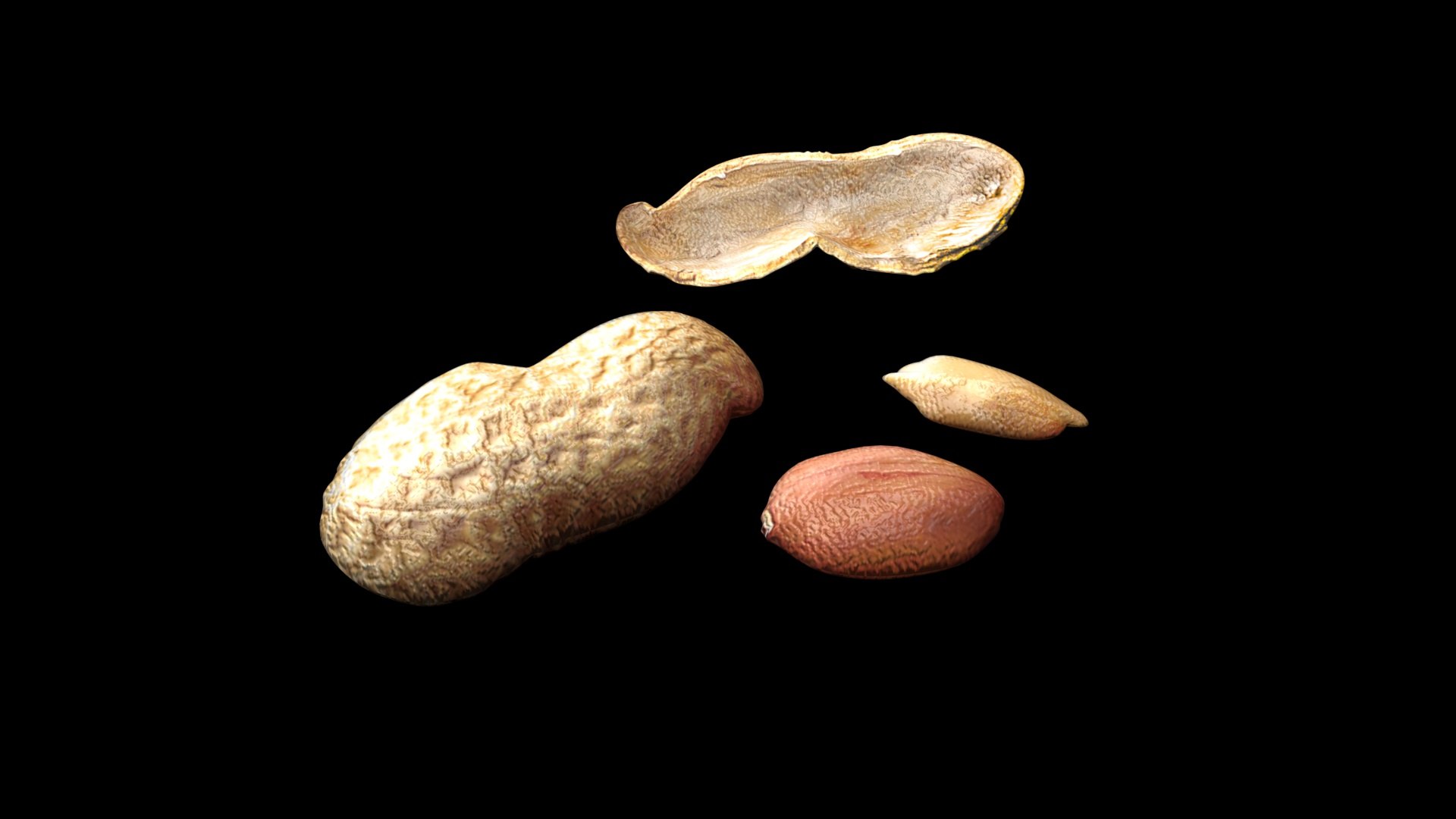 Peanuts 3D model https://p.turbosquid.com/ts-thumb/jw/1QiLWJ/EB/peanutssetnew11/jpg/1716381751/1920x1080/fit_q87/289b162c4ecbff80ee9c3b35143797b884bc6d67/peanutssetnew11.jpg