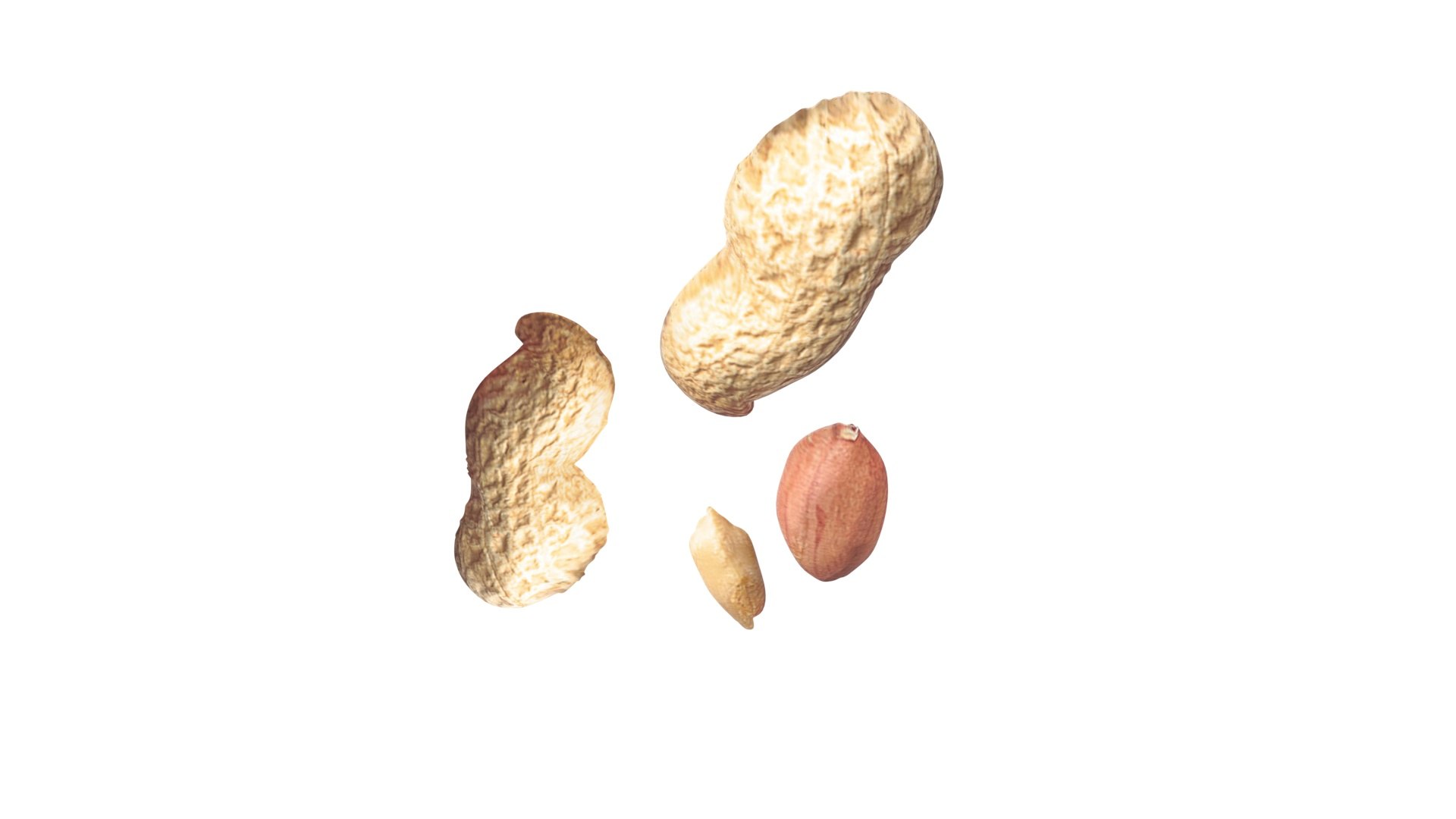 Peanuts 3D model https://p.turbosquid.com/ts-thumb/jw/1QiLWJ/Xz/peanutssetnew19/jpg/1716381747/1920x1080/fit_q87/45e2dd312ce38da15b1211cb84b1b8186df38e5f/peanutssetnew19.jpg