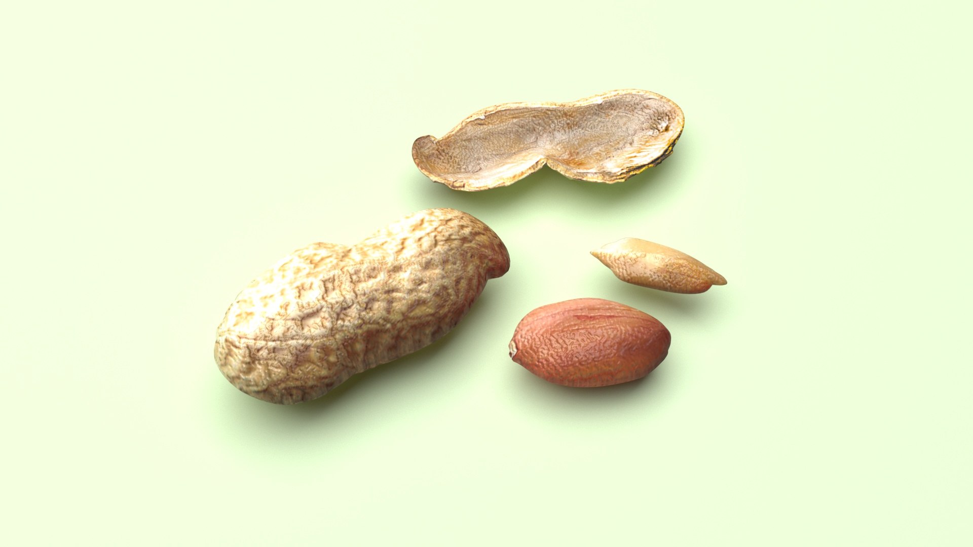 Peanuts 3D model https://p.turbosquid.com/ts-thumb/jw/1QiLWJ/aP/peanutssetnew10/jpg/1716381752/1920x1080/fit_q87/6e7bc9414d8f26e9c10f063aa44fecbce4ac8fe2/peanutssetnew10.jpg