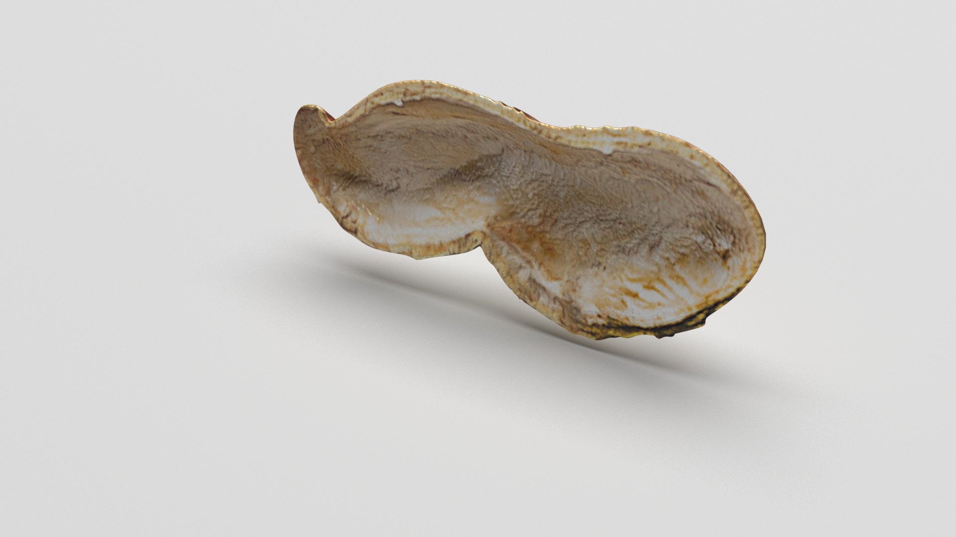 Peanuts 3D model https://p.turbosquid.com/ts-thumb/jw/1QiLWJ/iA/peanutssetnew7/jpg/1716381753/1920x1080/fit_q87/4e964f130777bd24f1c52bcc673c07950e043ddf/peanutssetnew7.jpg