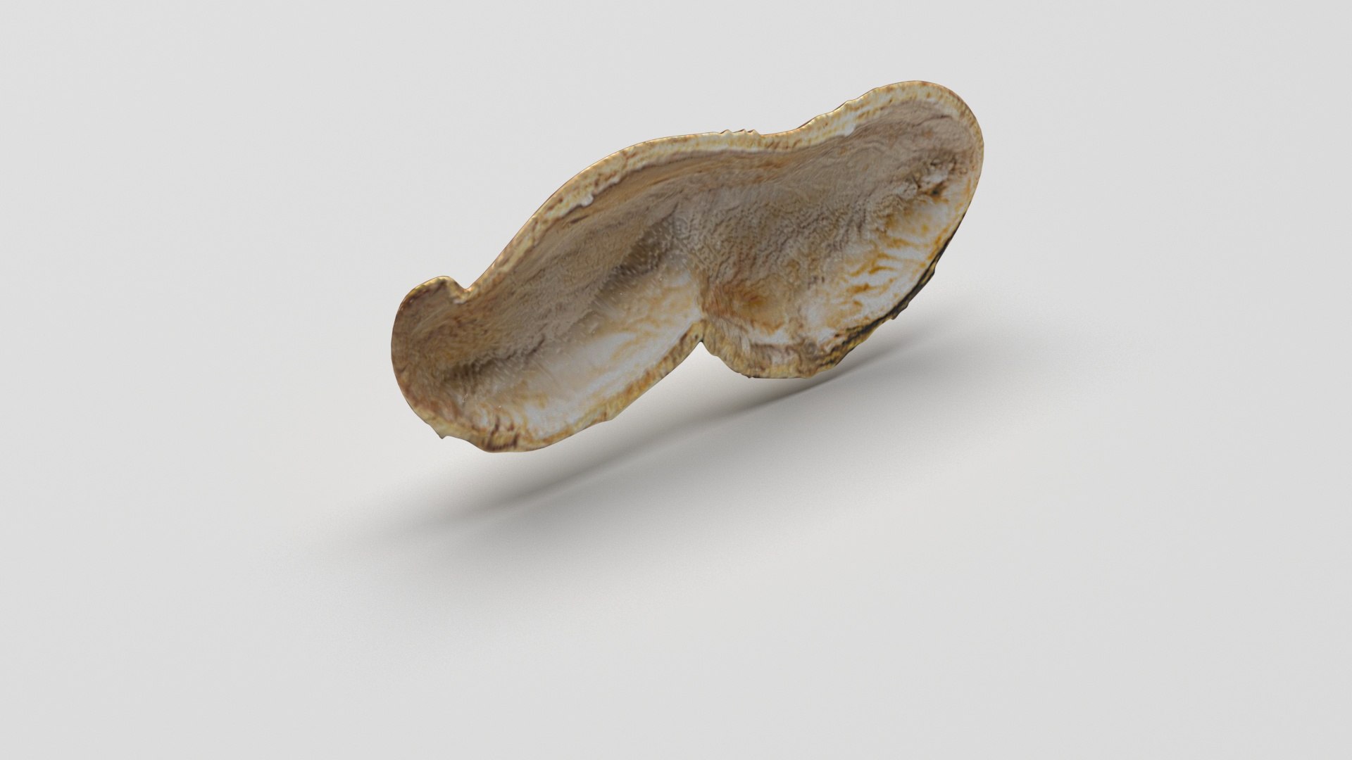 Peanuts 3D model https://p.turbosquid.com/ts-thumb/jw/1QiLWJ/nW/peanutssetnew6/jpg/1716381754/1920x1080/fit_q87/019bed4dd5d22be4acc0b4b87101fa89206e69b9/peanutssetnew6.jpg