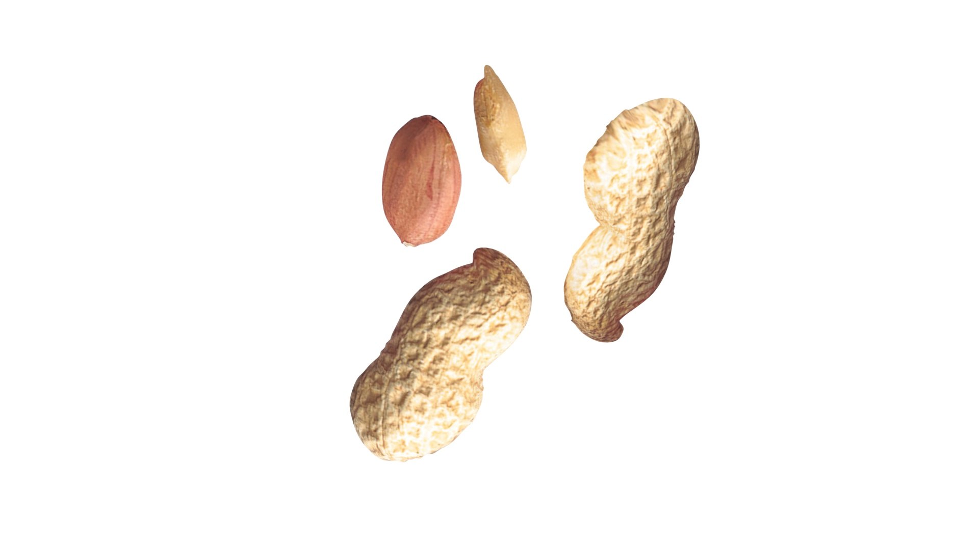 Peanuts 3D model https://p.turbosquid.com/ts-thumb/jw/1QiLWJ/vq/peanutssetnew17/jpg/1716381748/1920x1080/fit_q87/01a2d24f777662d395ec53e446bd09b0aa497517/peanutssetnew17.jpg