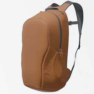 3D Bag model