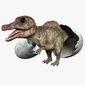 Spinosaurus Baby 3D Rigged