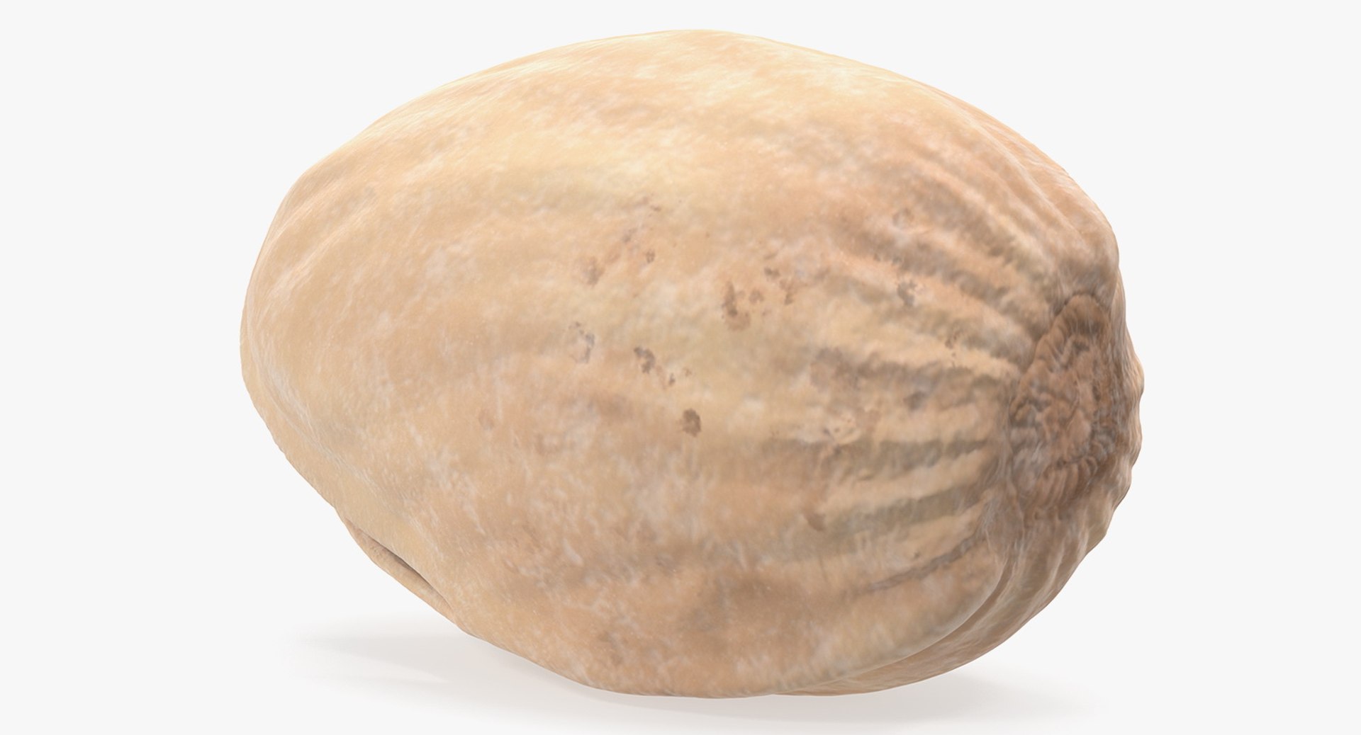 3D Model Pistachio Shell - TurboSquid 1429282