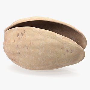 Pistachio Empty Shell