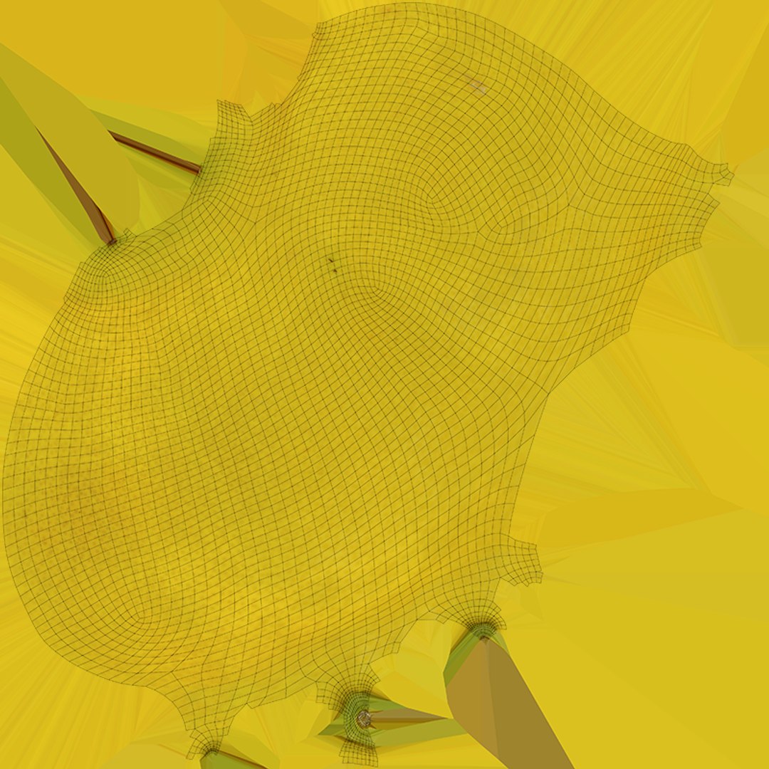3D Whole Lemon 01 https://p.turbosquid.com/ts-thumb/jw/BhOSmJ/NE/lemonwhole1_c0004/png/1763734398/1920x1080/fit_q87/e31ffdaaa0b887d805095b67f4c2c2aa6e960e5d/lemonwhole1_c0004.jpg