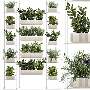 3D Kitchen mini vegetable garden set Basil Lettuce Rosemary 1412