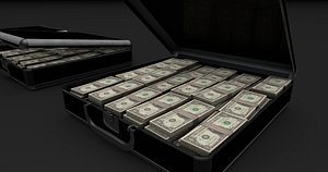 money briefcase 3ds