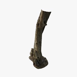 Anydrafts Olea europaea Trunk 10 3D model