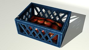 Plastic Box