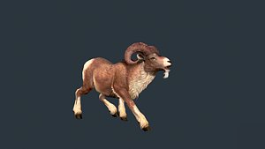 Realistic Goat Animation 3D model