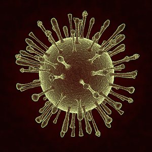 3d model zika virus