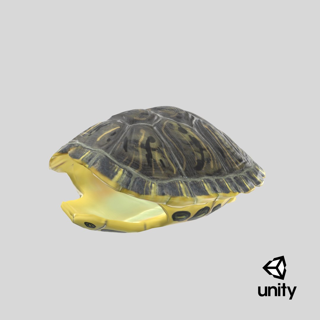 3d turtle shell https://p.turbosquid.com/ts-thumb/jw/MpNsep/4A/stemcell_unity_render/png/1663847219/1920x1080/fit_q87/120a1ed9da281e19b9d9dc9eeb84821aa2012144/stemcell_unity_render.jpg