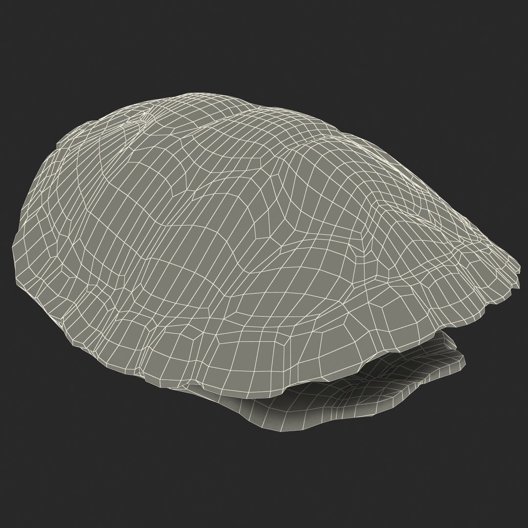 3d turtle shell https://p.turbosquid.com/ts-thumb/jw/MpNsep/511asClC/turtleshell3dmodel20/jpg/1433425940/1920x1080/fit_q87/c46a25b348e8198f0fcc32e34c1a7bccdf1f096d/turtleshell3dmodel20.jpg