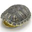 3d turtle shell