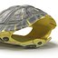 3d turtle shell