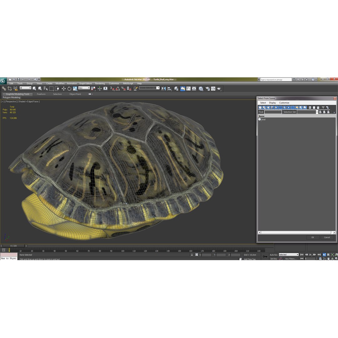 3d turtle shell https://p.turbosquid.com/ts-thumb/jw/MpNsep/USrK48oC/turtleshell3dmodel19/jpg/1433425940/1920x1080/fit_q87/a6438955a6280168d7742999d432ce4ac38ed405/turtleshell3dmodel19.jpg