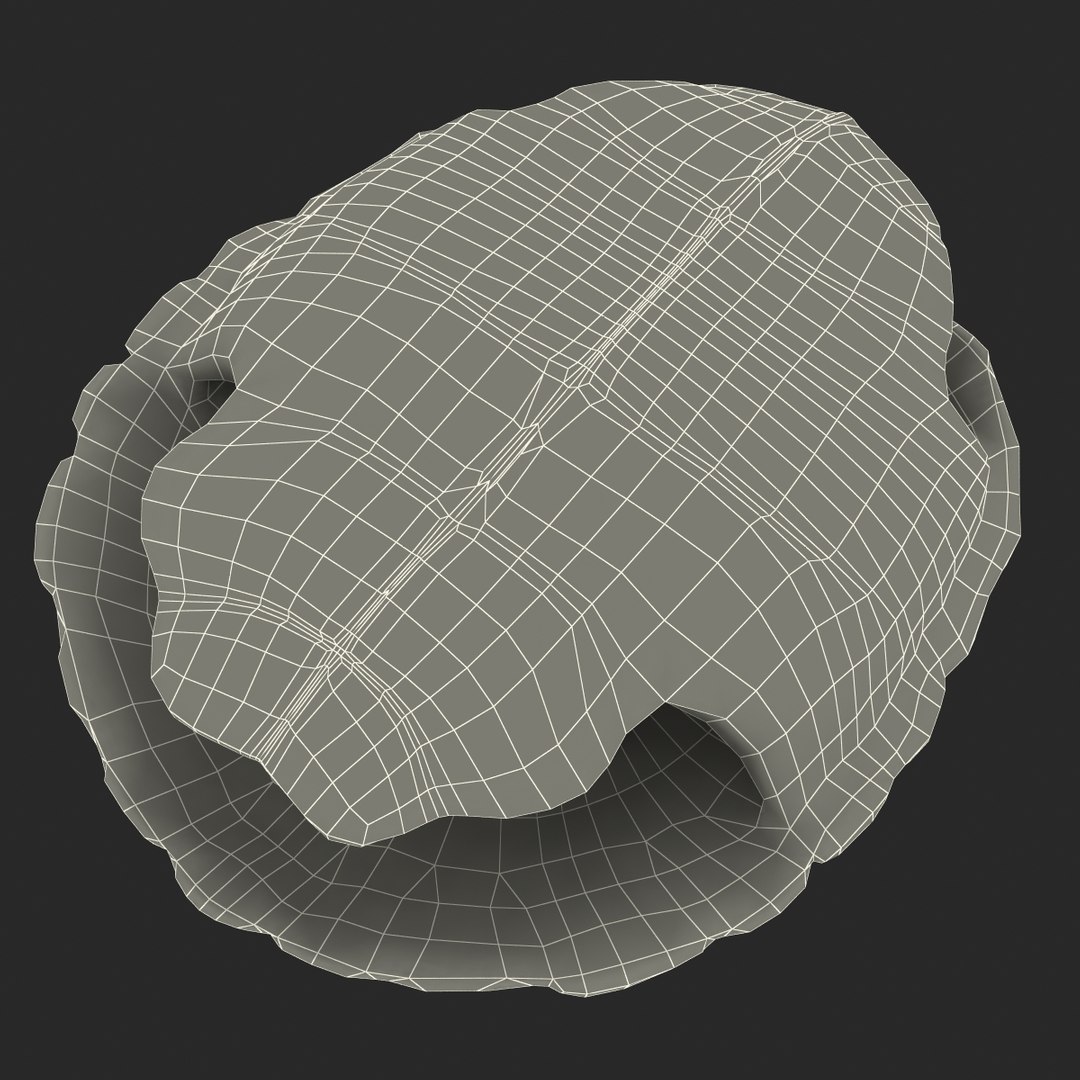 3d turtle shell https://p.turbosquid.com/ts-thumb/jw/MpNsep/x22ttFJm/turtleshell3dmodel24/jpg/1433425941/1920x1080/fit_q87/da1dbcc8e8a5234aab75a030e704efe6f6413ffd/turtleshell3dmodel24.jpg