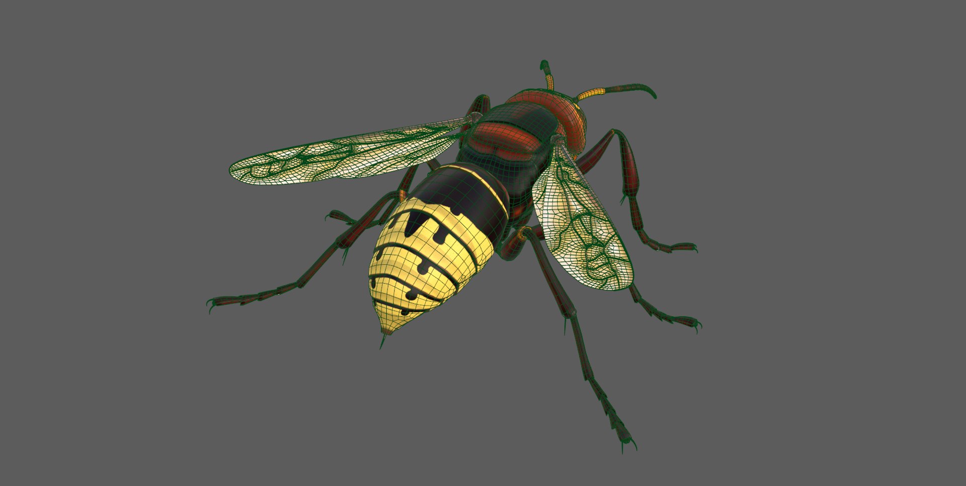 european hornet model https://p.turbosquid.com/ts-thumb/jw/SzzHYy/2QRLm5Ur/photo_16/png/1594056169/1920x1080/fit_q87/e0513c0162c70e86958616669176328066f05a22/photo_16.jpg