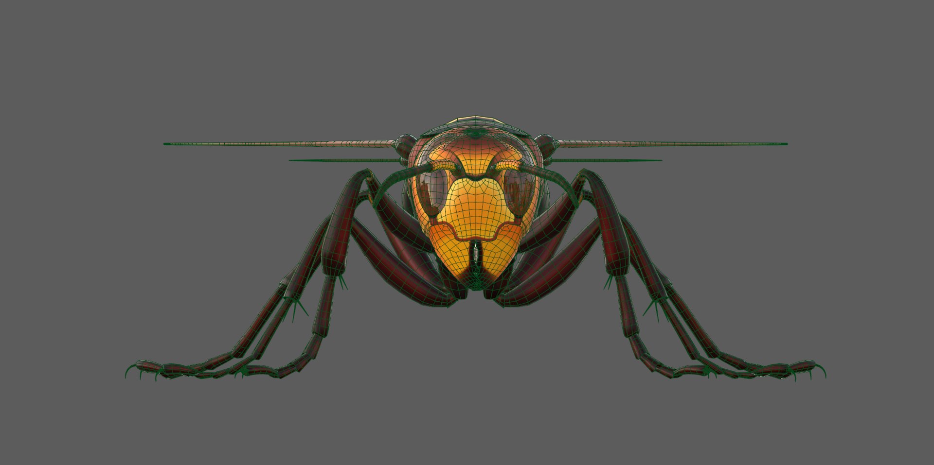 european hornet model https://p.turbosquid.com/ts-thumb/jw/SzzHYy/CeAqDagP/photo_13/png/1594056169/1920x1080/fit_q87/691131dba1c472669826c835521fa82a8e43d051/photo_13.jpg