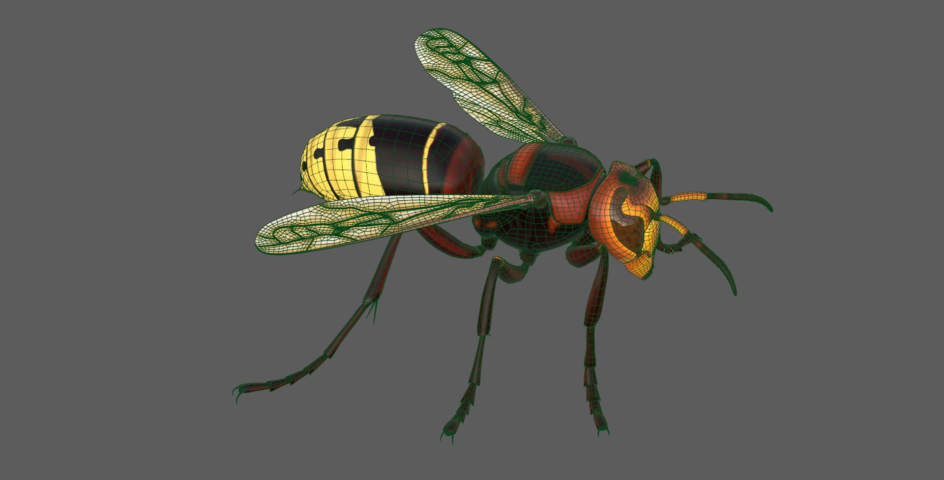 european hornet model https://p.turbosquid.com/ts-thumb/jw/SzzHYy/Nz7Y72qK/photo_10/png/1594056169/1920x1080/fit_q87/e6767db044d55cb54e3f43ff0070428f049331ba/photo_10.jpg