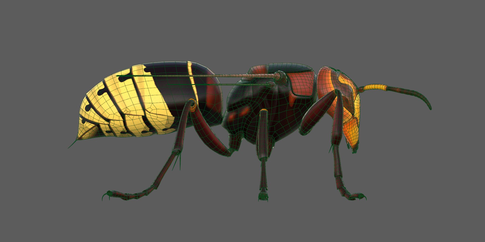 european hornet model https://p.turbosquid.com/ts-thumb/jw/SzzHYy/eJxXmOPY/photo_11/png/1594056169/1920x1080/fit_q87/b1153df625a6c743a412e1e63983830dd785a52e/photo_11.jpg