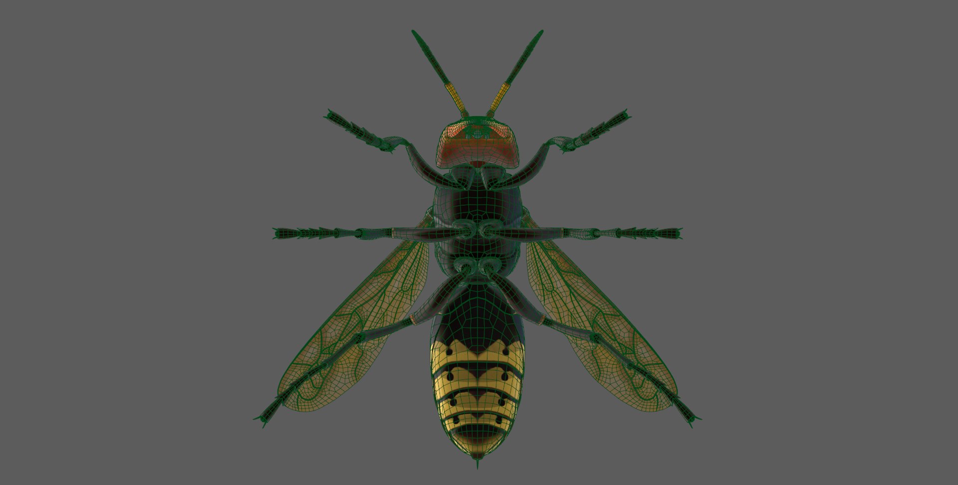 european hornet model https://p.turbosquid.com/ts-thumb/jw/SzzHYy/wmCj0QM4/photo_15/png/1594056169/1920x1080/fit_q87/c0ca5524b70fb045bd173e5684ab31cd20f77259/photo_15.jpg