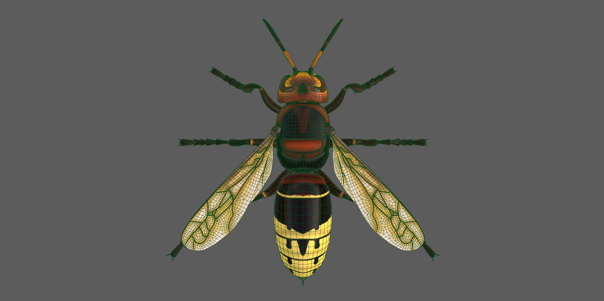 european hornet model https://p.turbosquid.com/ts-thumb/jw/SzzHYy/zEsb3QJU/photo_12/png/1594056169/1920x1080/fit_q87/fec4e9a3d6a0cabd997339dd581a6fc6e421464a/photo_12.jpg