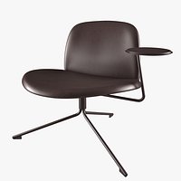 Satellite Conference Chair