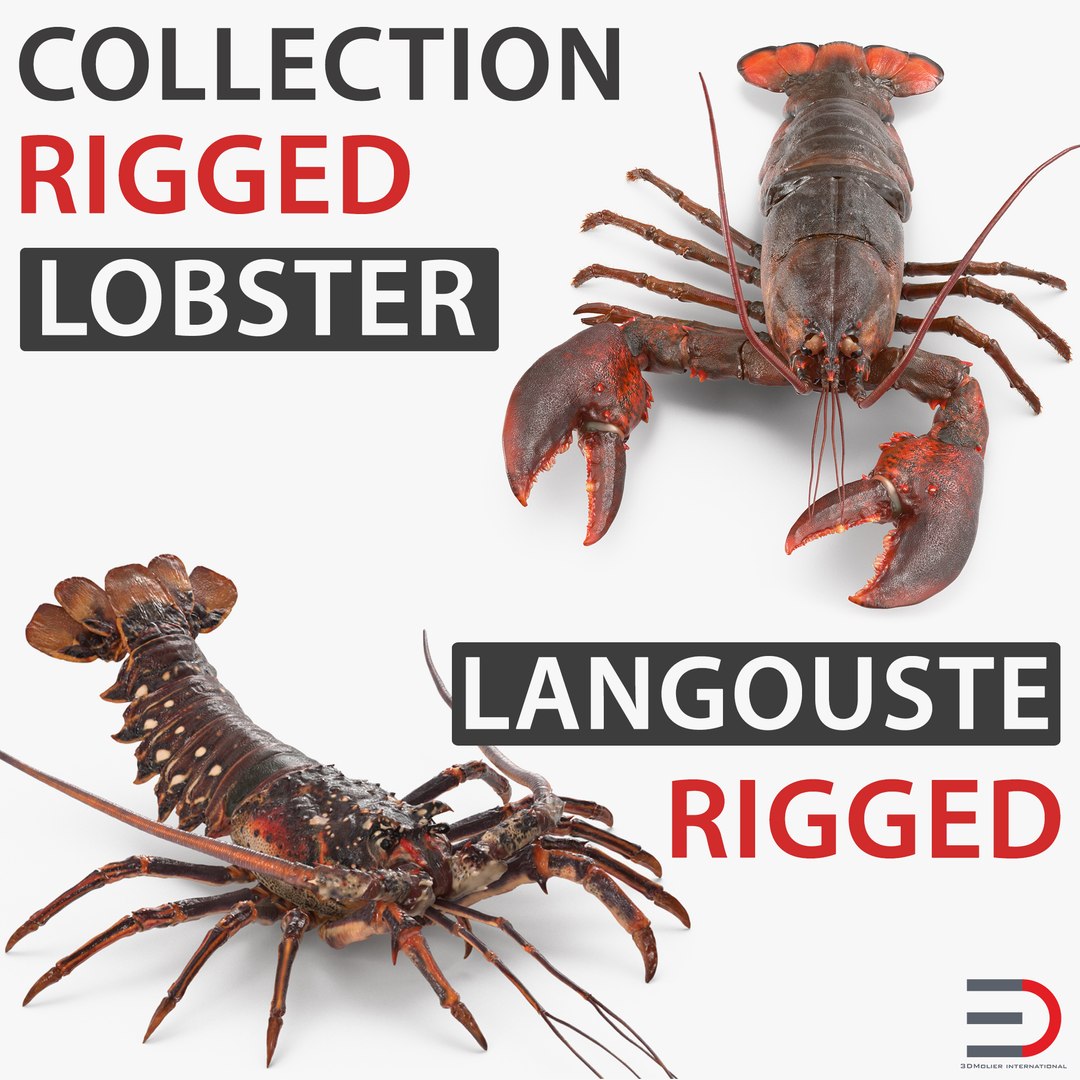 Lobster and Langouste Rigged 3D Models Collection 3D model preview