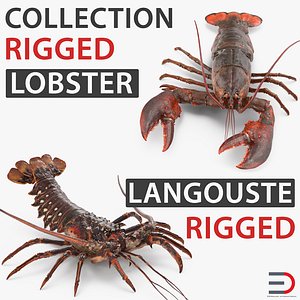 lobster langouste rigged 3D model